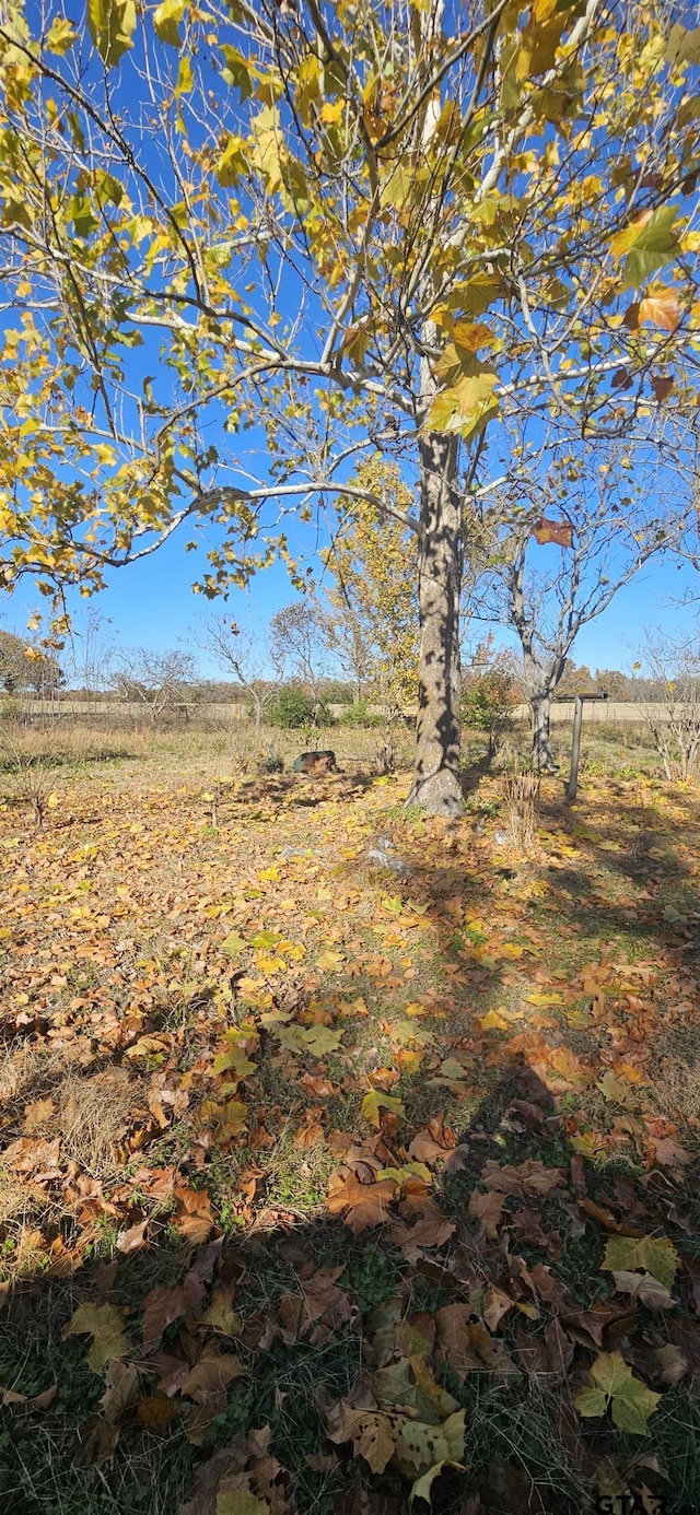 view of landscape with a rural view