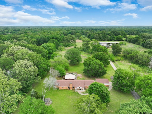 2487 S Fm 17, Alba, TX 75410 - photo 2