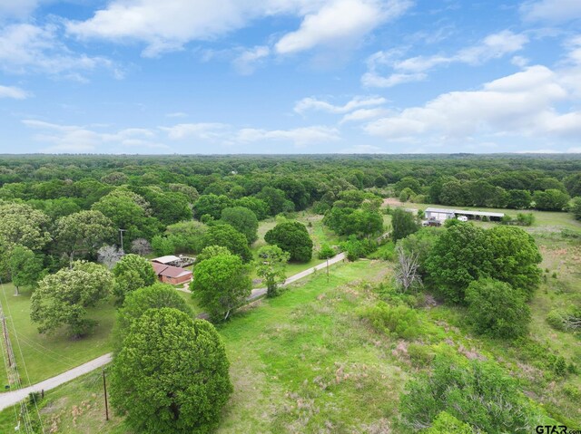 2487 S Fm 17, Alba, TX 75410 - photo 33