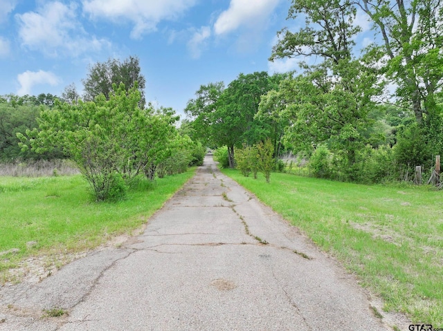 2487 S Fm 17, Alba, TX 75410 - photo 34