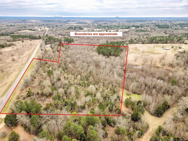 Listing photo 2 for TBD Fm 2454, Gilmer TX 75644