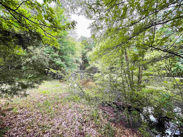 view of local wilderness