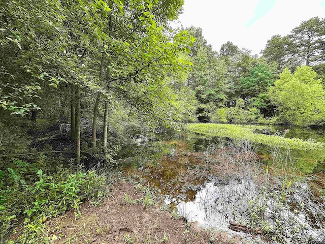 view of local wilderness