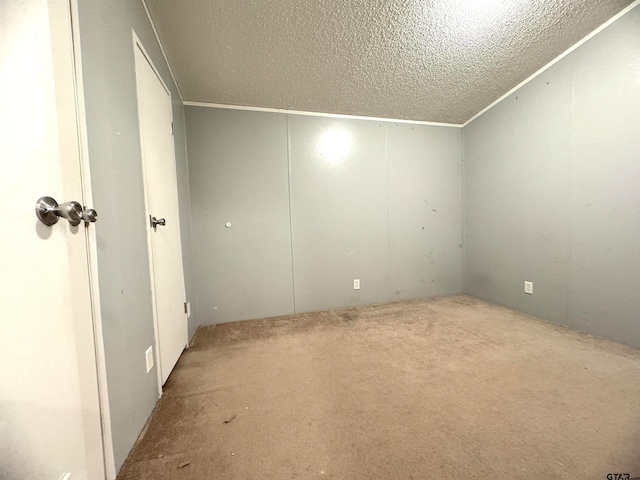 interior space with carpet and a textured ceiling