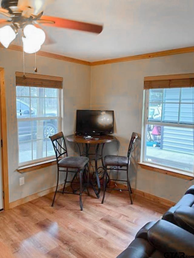 dining space with a wealth of natural light, ceiling fan, light hardwood / wood-style floors, and ornamental molding