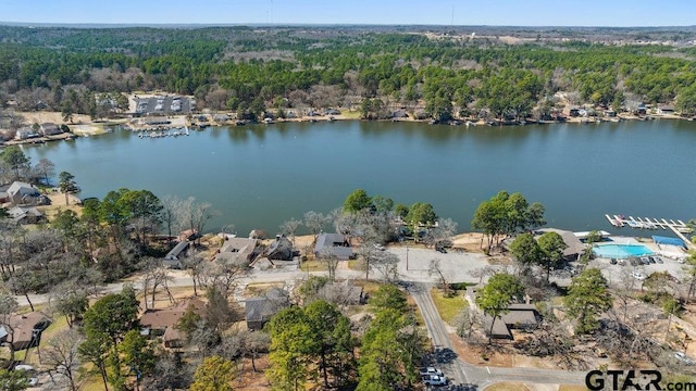 drone / aerial view with a water view and a view of trees