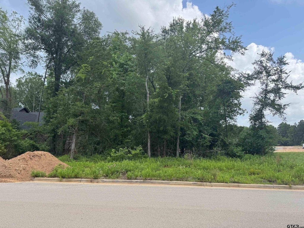 2332 Hidden Creek Trl, Tyler, TX 75703 - photo 1