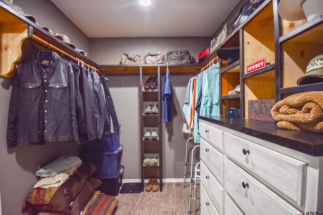 spacious closet featuring carpet