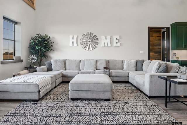 living room featuring hardwood / wood-style flooring and a high ceiling