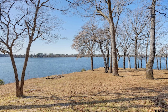 15990 Eastside Rd, Tyler, TX 75707 - photo 35