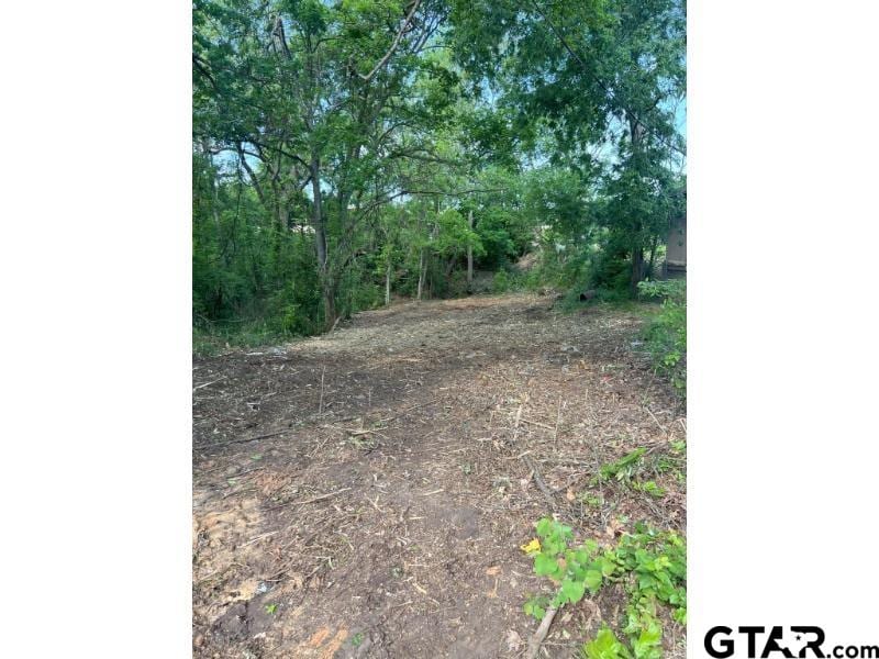 723 S Englewood Ave, Tyler, TX 75701