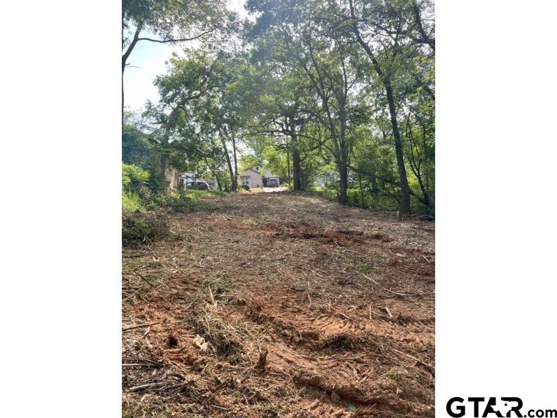 723 S Englewood Ave, Tyler, TX 75701