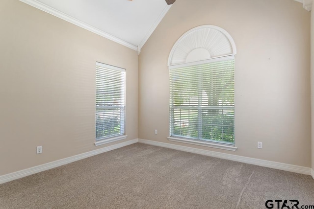 1213 Parkview Dr, Tyler, TX 75703 - photo 20