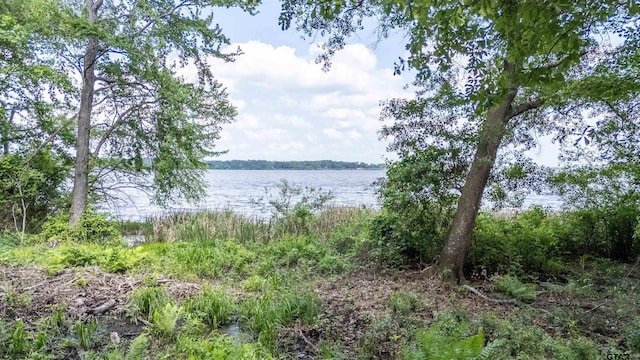 3132 Shadow Pine Dr, Larue, TX 75770
