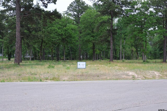 3132 Shadow Pine Dr, Larue, TX 75770