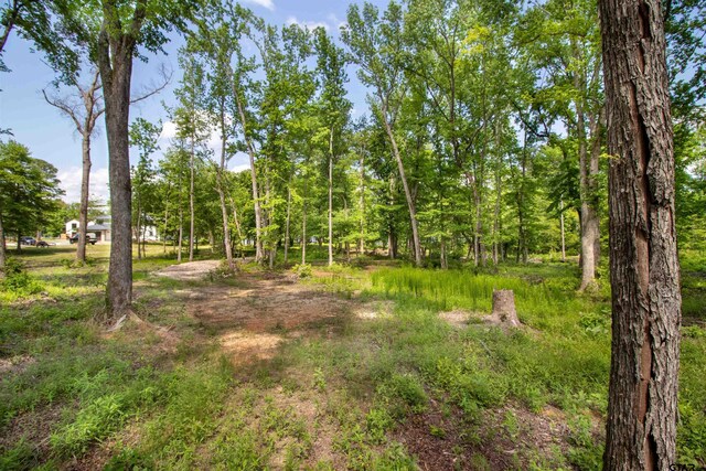 3132 Shadow Pine Dr, Larue, TX 75770