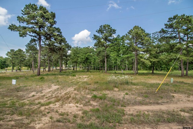 3132 Shadow Pine Dr, Larue, TX 75770