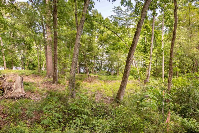 3132 Shadow Pine Dr, Larue, TX 75770