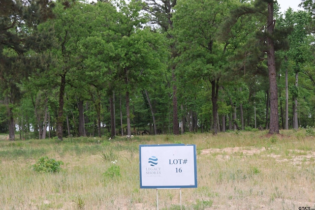 3132 Shadow Pine Dr, Larue, TX 75770