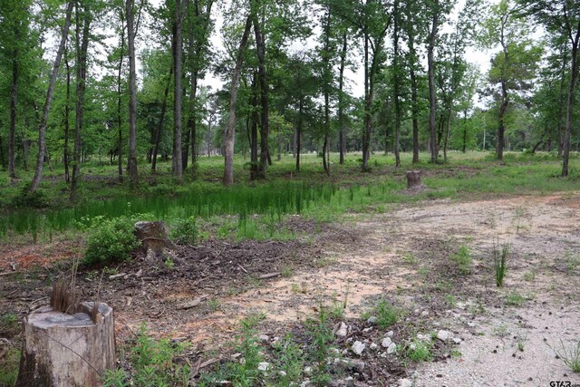 3132 Shadow Pine Dr, Larue, TX 75770