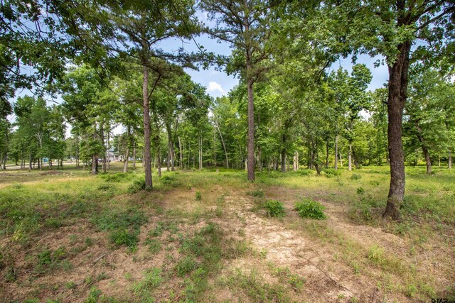3132 Shadow Pine Dr, Larue, TX 75770