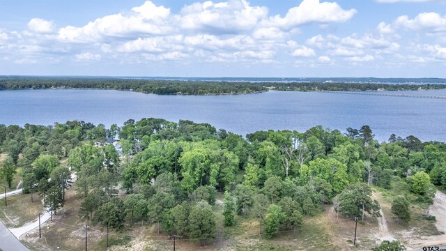 3132 Shadow Pine Dr, Larue, TX 75770