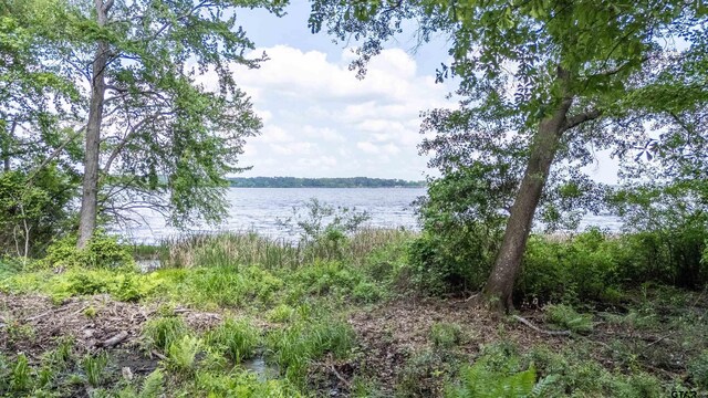 3132 Shadow Pine Dr, Larue, TX 75770