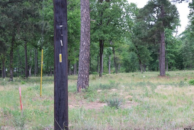 3132 Shadow Pine Dr, Larue, TX 75770