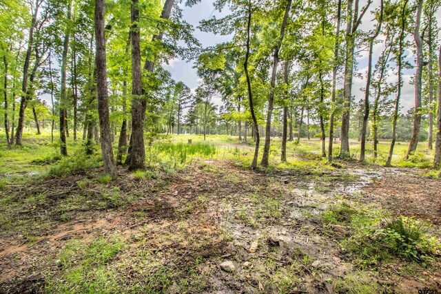 3132 Shadow Pine Dr, Larue, TX 75770