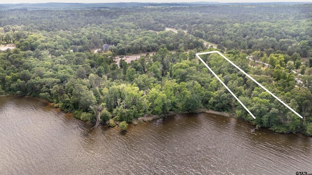 3132 Shadow Pine Dr, Larue, TX 75770