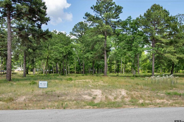 3132 Shadow Pine Dr, Larue, TX 75770