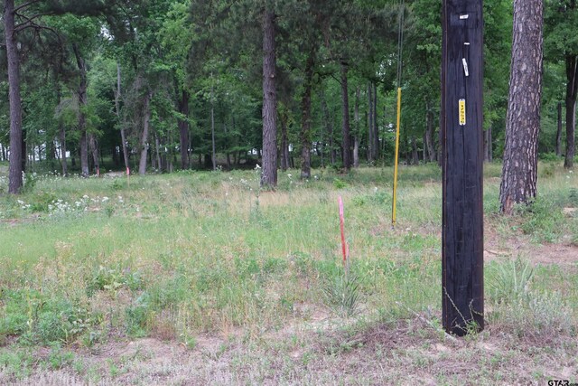 3132 Shadow Pine Dr, Larue, TX 75770