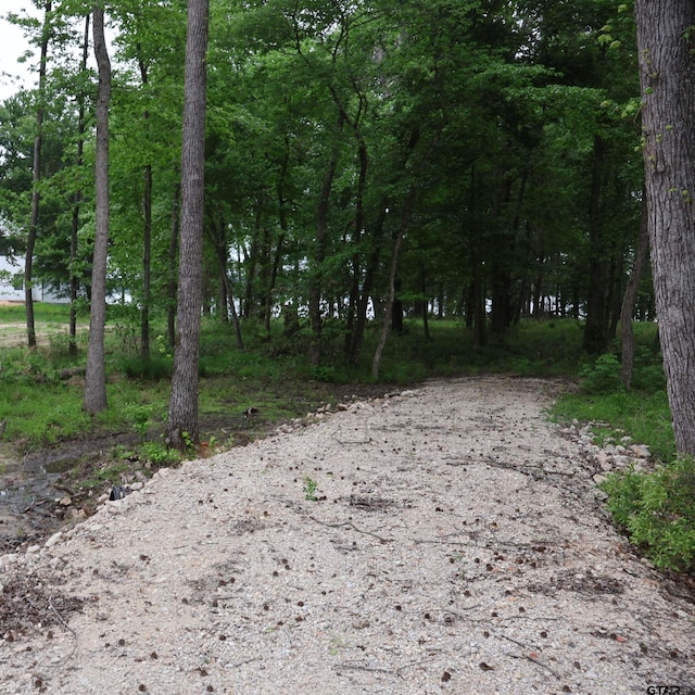 3132 Shadow Pine Dr, Larue, TX 75770