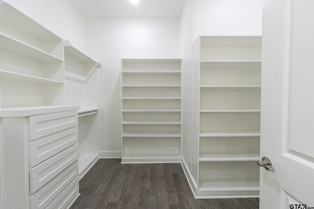 spacious closet with dark hardwood / wood-style flooring