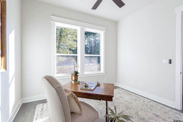 home office featuring light hardwood / wood-style flooring, plenty of natural light, and ceiling fan