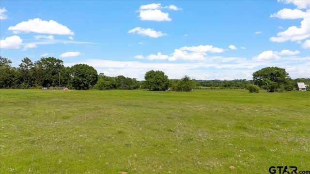 335 County Road 4802, Troup, TX 75789 - photo 5