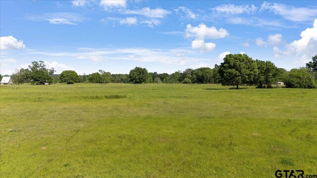 335 County Road 4802, Troup, TX 75789 - photo 11