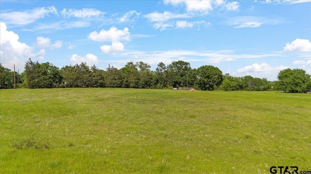 335 County Road 4802, Troup, TX 75789 - photo 3