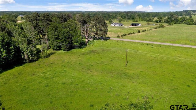 335 County Road 4802, Troup, TX 75789 - photo 7