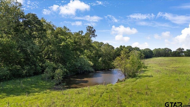 335 County Road 4802, Troup, TX 75789 - photo 6