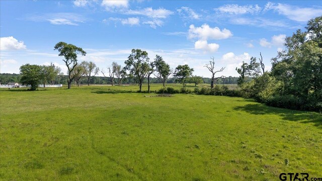 335 County Road 4802, Troup, TX 75789 - photo 8