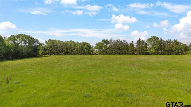 335 County Road 4802, Troup, TX 75789 - photo 4