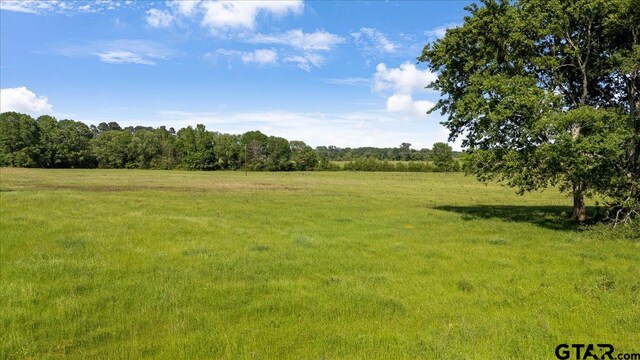 335 County Road 4802, Troup, TX 75789 - photo 9