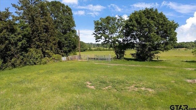 335 County Road 4802, Troup, TX 75789 - photo 10