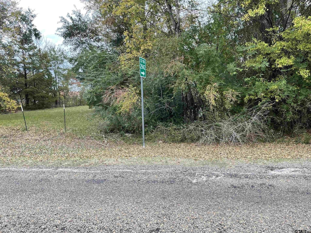 TBD Fm 1799, Alba, TX 75410