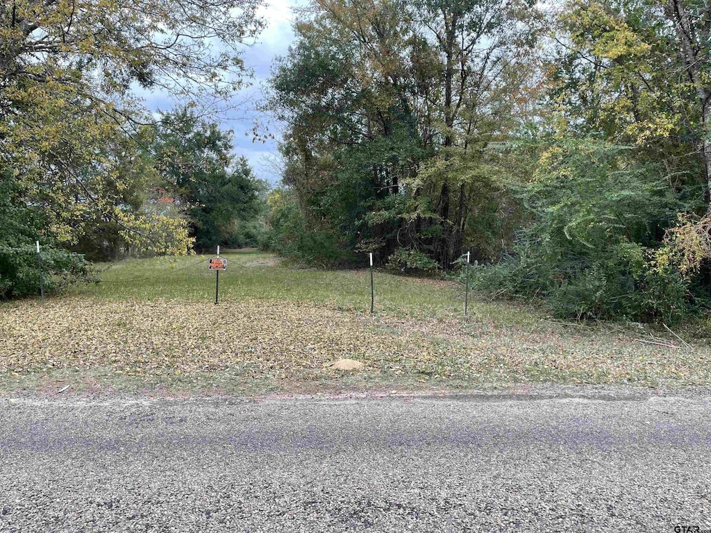 TBD Fm 1799, Alba, TX 75410
