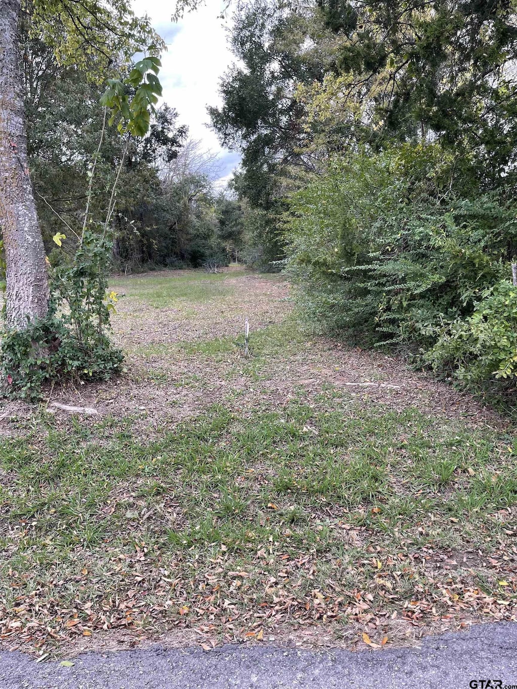 TBD Fm 1799, Alba, TX 75410