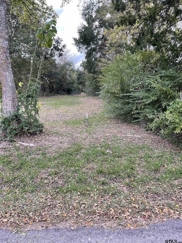 TBD Fm 1799, Alba, TX 75410