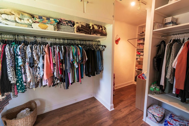 walk in closet featuring dark hardwood / wood-style floors