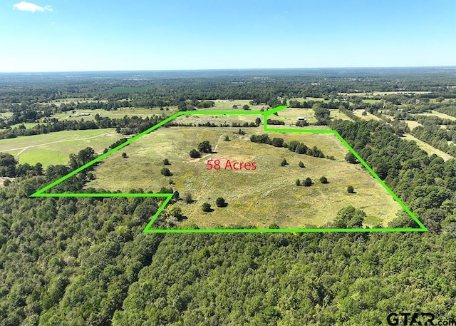 Listing photo 3 for TBD Ginger Rd, Gilmer TX 75644